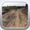 Cont. - Phase 2