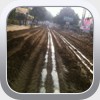 We then sprayed the Natural Crete water mix on the soil