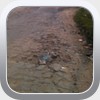Closer look at pavement as we began